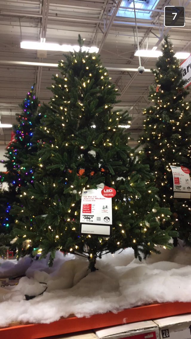 ang_monahan's tweet photo. Every time @Joetheguitarist sends me pictures of Christmas trees, I have nightmares about the kitten climbing to the top. #ValidConcern https://t.co/b05QaaYA6U