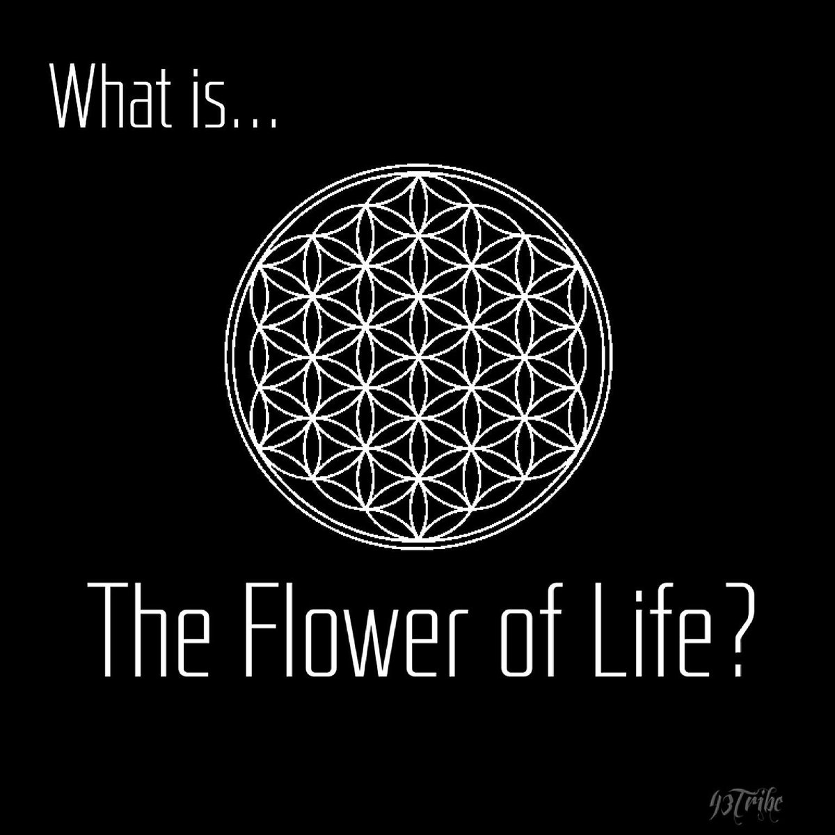 AustynSnow's tweet photo. (What is the flower of life?) (What do you know about sacred geometry?) #43Tribe invites you to learn something new https://t.co/DMxjfkp1X7