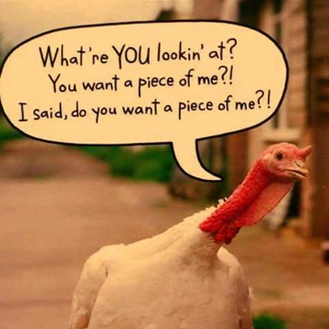 laura_dalt's tweet photo. Lol https://t.co/w21FzYG8aI