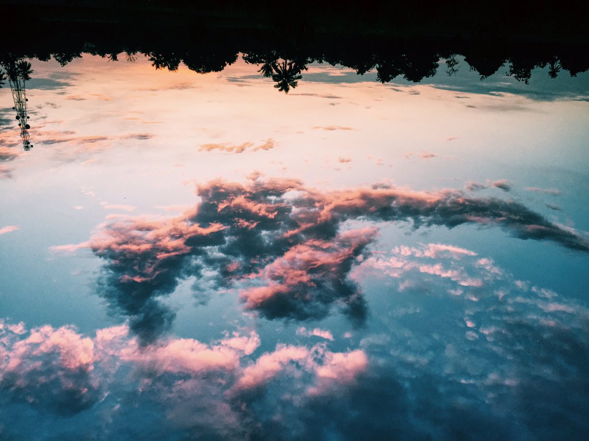 phijaa's tweet image. ☀️