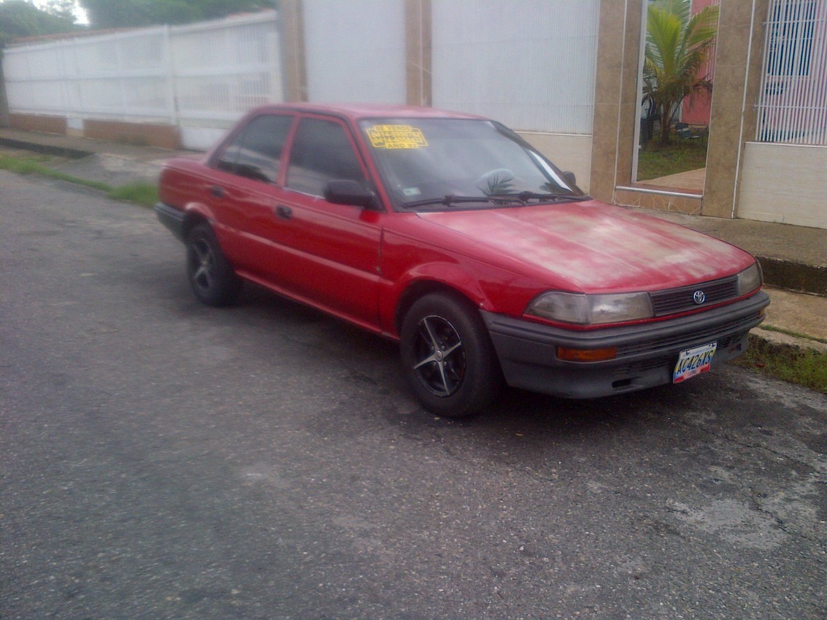 lucia abreu tweet media