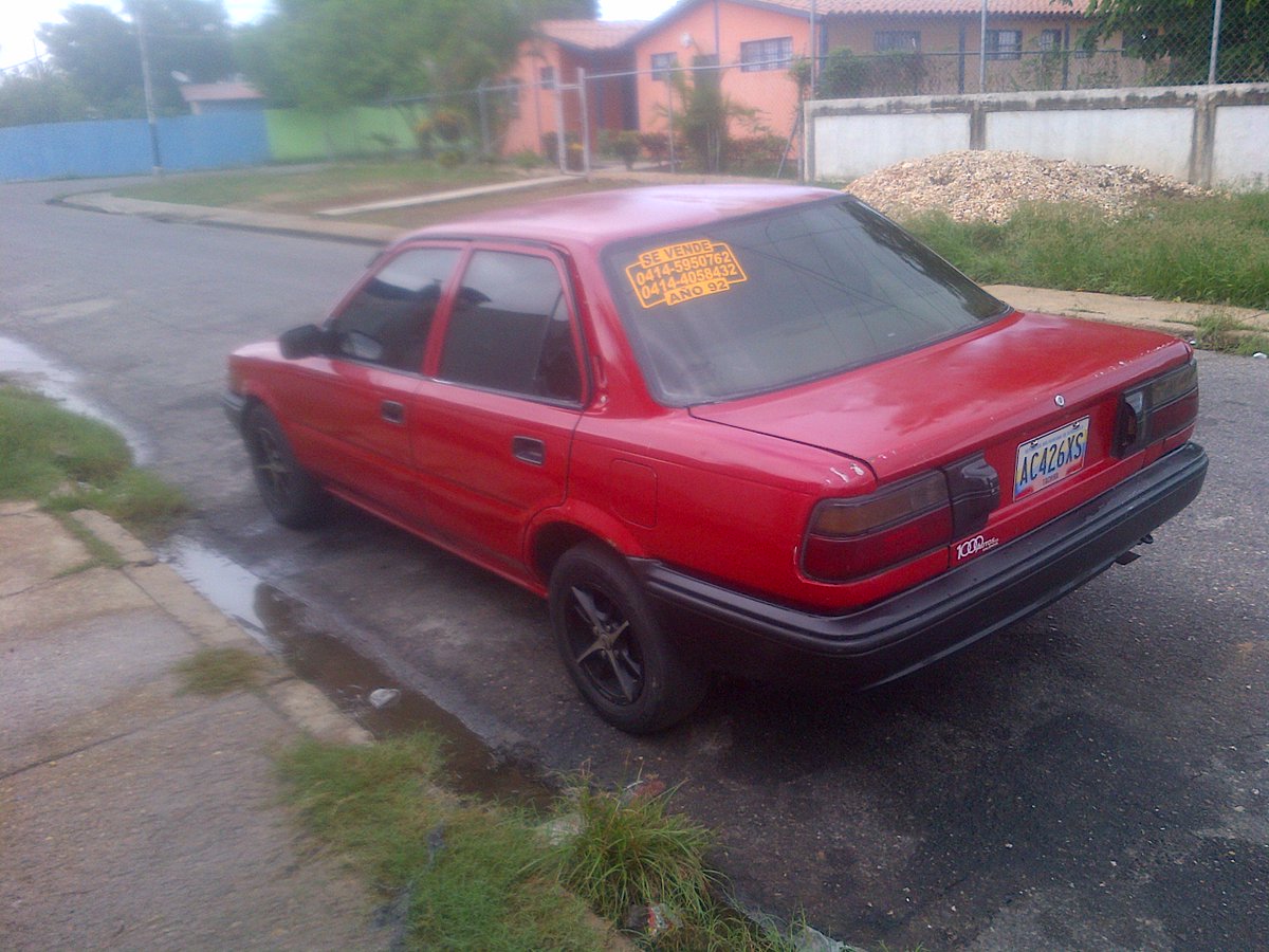 lucia abreu tweet media