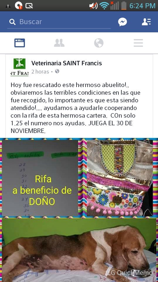 Comunidad de chiriquí Doño un perro abuelito necesita de nuestra ayuda coopera con esta noble causa 730-3630 <a href="/RetenChiriqui/">Reten_Chiriqui</a> <a href="/ultimahoraC4/">Última Hora Chiriquí, Panamá</a>