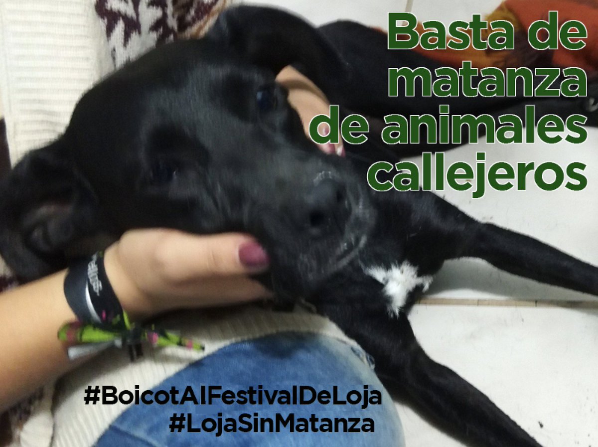 La Revolución Animal tweet media