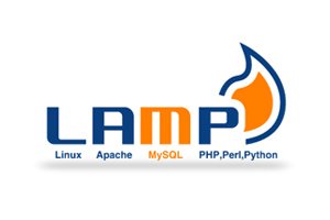 perceptionweb's tweet photo. Are You Looking to Hire LAMP Developers for Your Project? We Have Expert LAMP development Team
https://t.co/1HYbt8SLYF
#LampDevelopment https://t.co/B1i7CGrujY