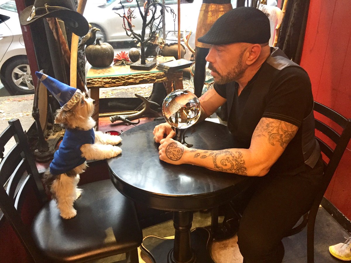 SugarBabyEnt's tweet photo. Behind the scenes of our newest show!!! 🎥🎬 #childrenstv #dreamfetchers #moviestardogz https://t.co/Rb0MCWRPs7