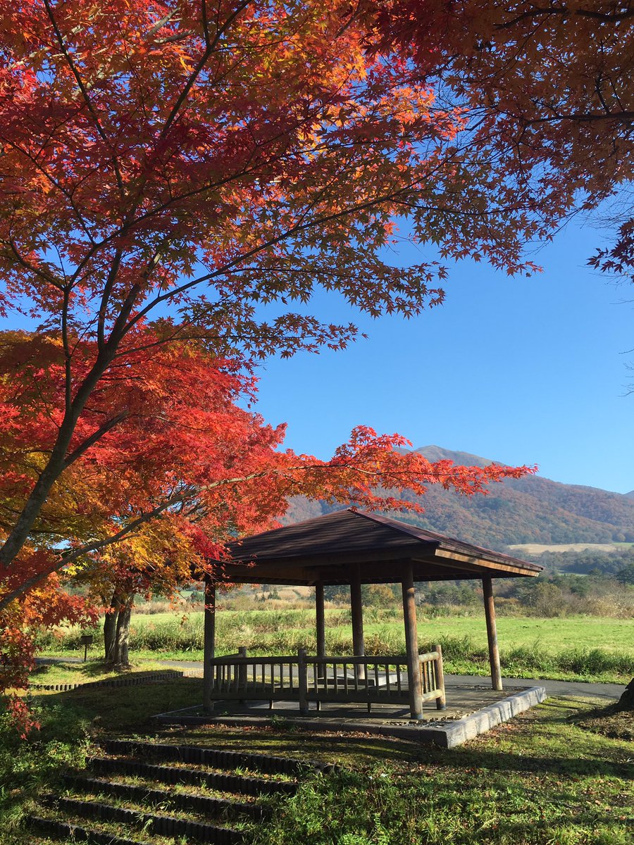 Shunsuke Fujimura 蒜山高原なう 紅葉が綺麗