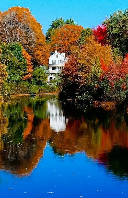 goyotocho64's tweet photo. .🍀. Thanks for All Marion .🍀.
           @MarionSpekker 
🍁🍁   Happy  Autumn  🍁🍁 https://t.co/Ai6gyaPupO