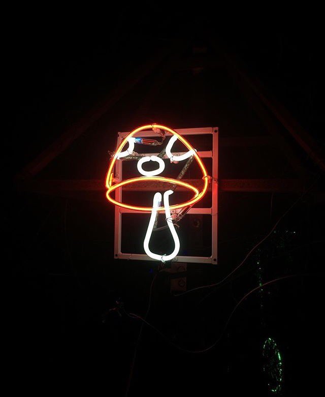 Nightlifecln's tweet photo. Gracias @AmstelLightMx por traer eventos como este a nuestra Ciudad 👏🏻! #IAmstel #HostelAmstel #VondelPark https://t.co/mJ1MMKxR4g