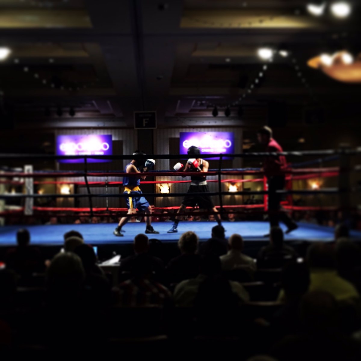 EldoradoReno's tweet photo. Go UNR! #Boxing #BoxingRing #CollegiateBoxing #UNR #GoBlue #DingDingDing #FridayNight #RoundOne #Winner #Reno #EldoradoReno https://t.co/maGCrSMMp1