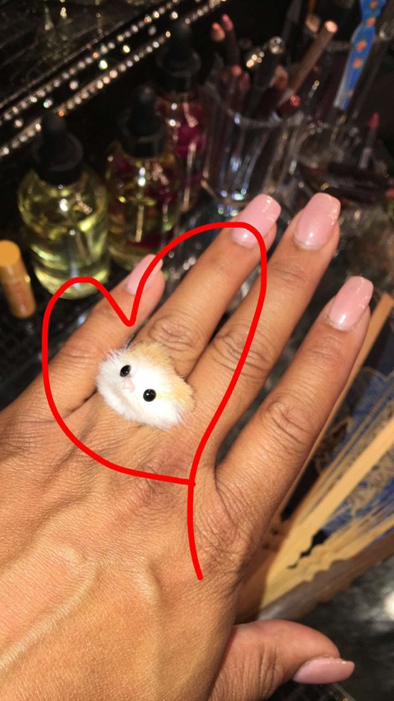 Shiv (@SoSpyda) | Twitter