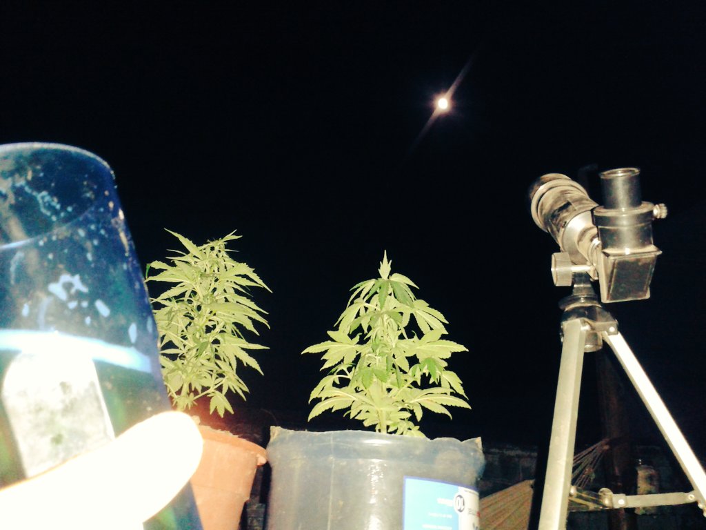 QuemaDedo's tweet photo. Tomando luz Lunar https://t.co/D0YvznBYkb