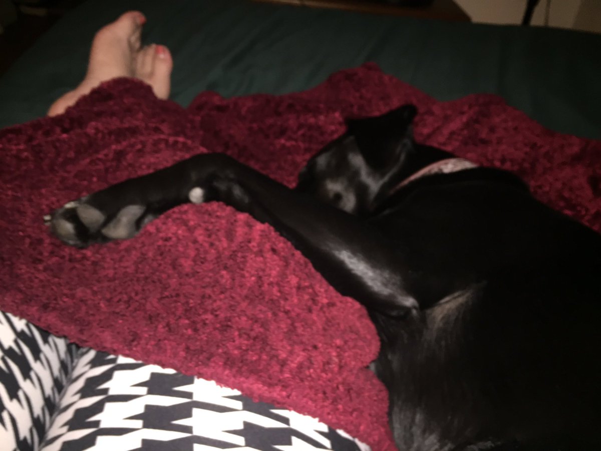 derpydogVT's tweet image. Taking care of mommy.