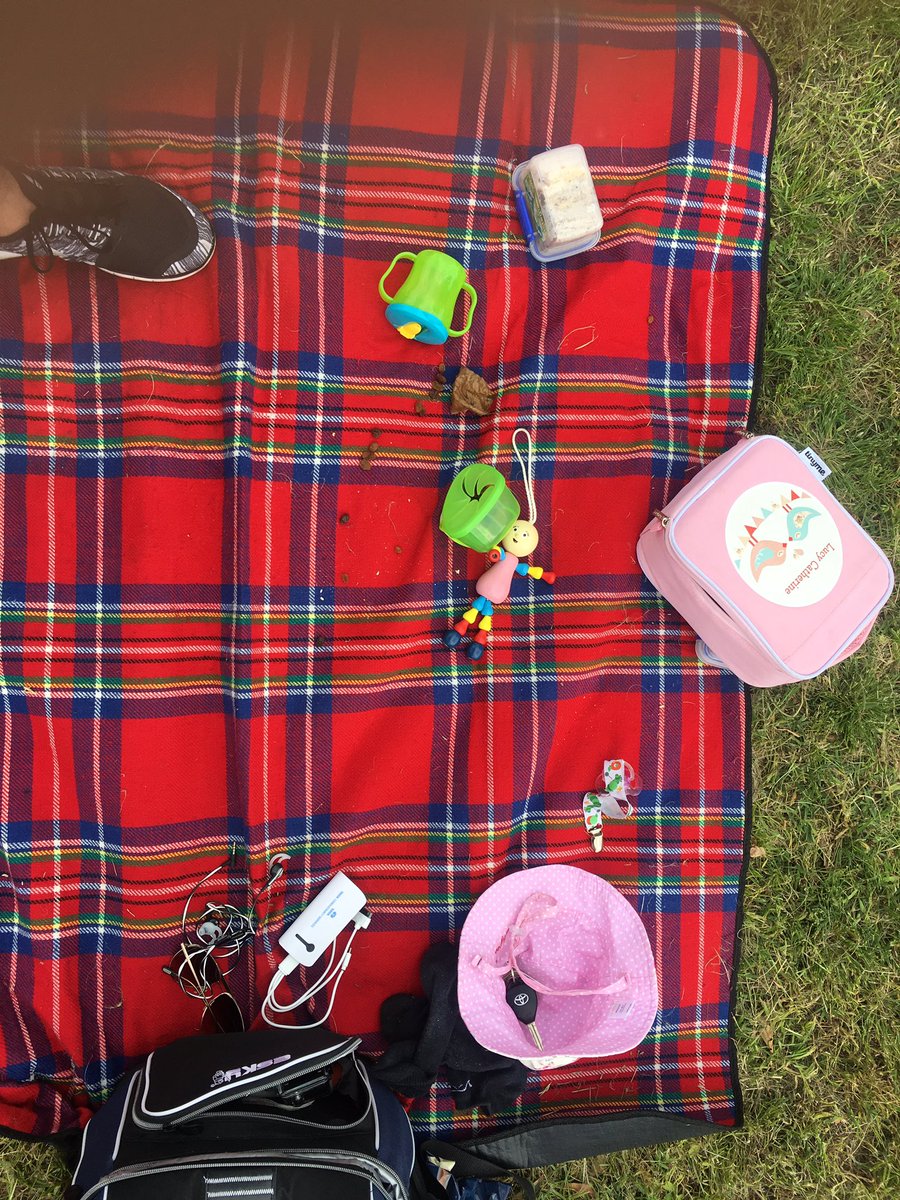 Rob2563's tweet photo. Lucy has been here! #Keils #Crig #HawthornCricketClub @BaggyRedClub https://t.co/DWBeuJ7nVu