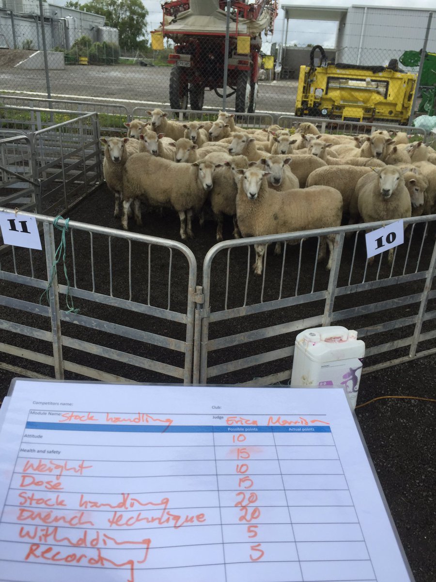 ericavrnz's tweet photo. Great fun helping out at District Contest today...my module was drenching &amp; condition scoring...mixed results! Cool hair do's though! https://t.co/EY05A2jqab