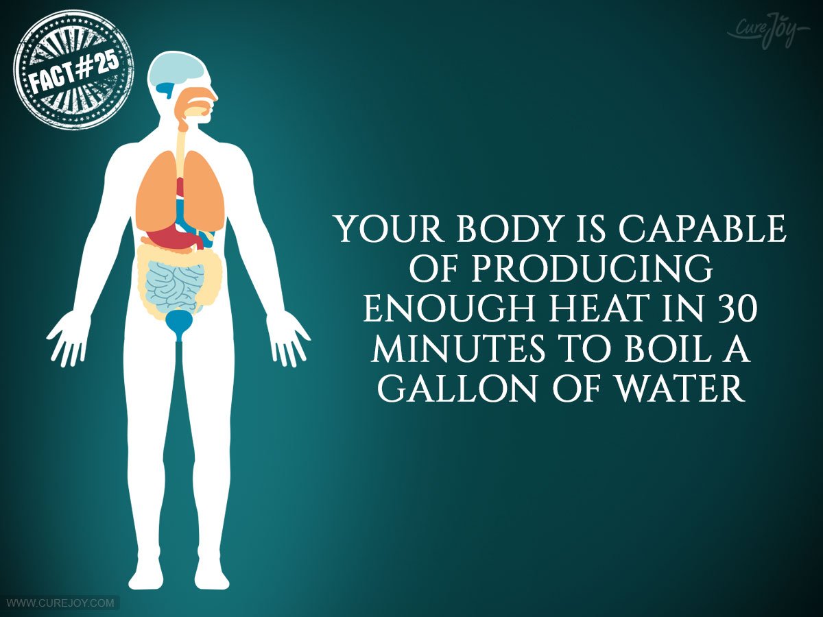 HealthNerdDaily's tweet photo. Your body produces enough heat in only 30 minutes to boil a half-gallon of water #FunFactFriday #funfact #retweet #follow #followme #rt #rtz https://t.co/c47SJwtq91