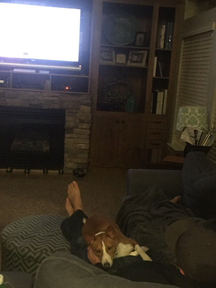 dpeterson_6's tweet photo. Jax looking the other way. Watching the duel on @imca_tv #Duel16 https://t.co/wink6VOIY5
