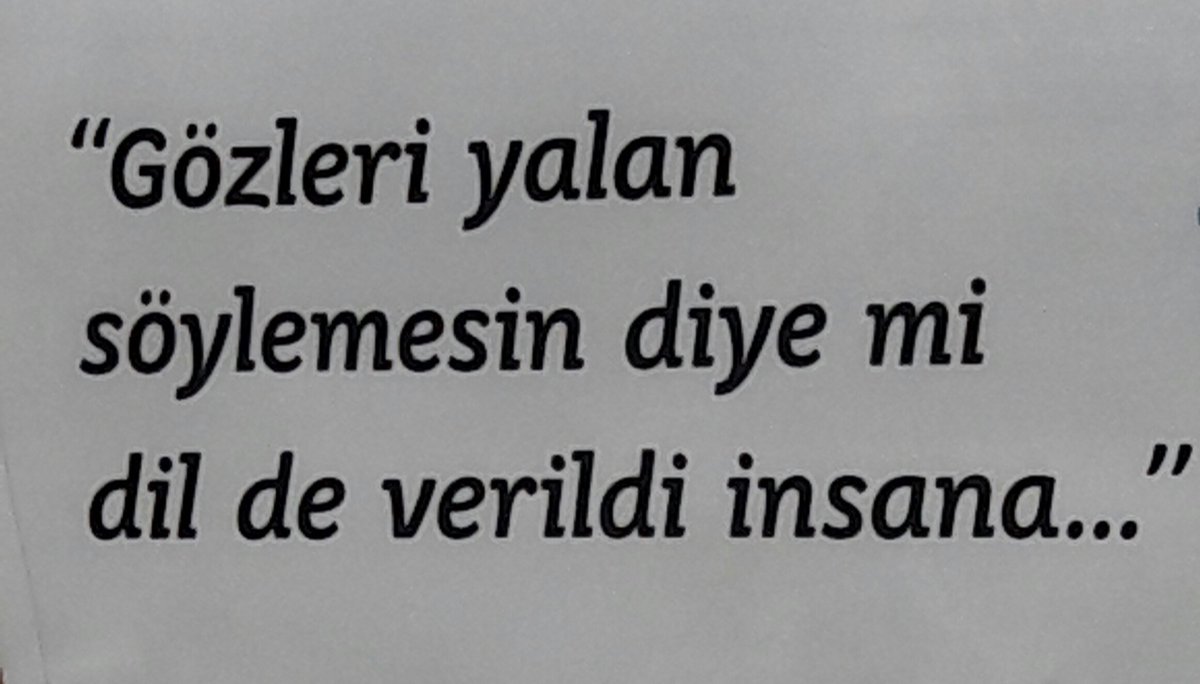 Yalansız bir güne GÜNAYDIN...!