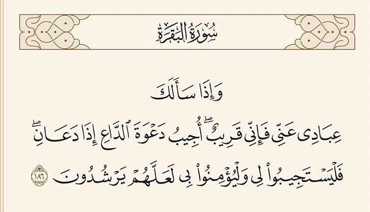 Wafaalrefaie's tweet photo. أبشر : حتما سيستجيب الله لدعائك ،بمجرد ان ترفع يديك  بدعوة صادقة من قلب صادق. https://t.co/2IyBkseOYh