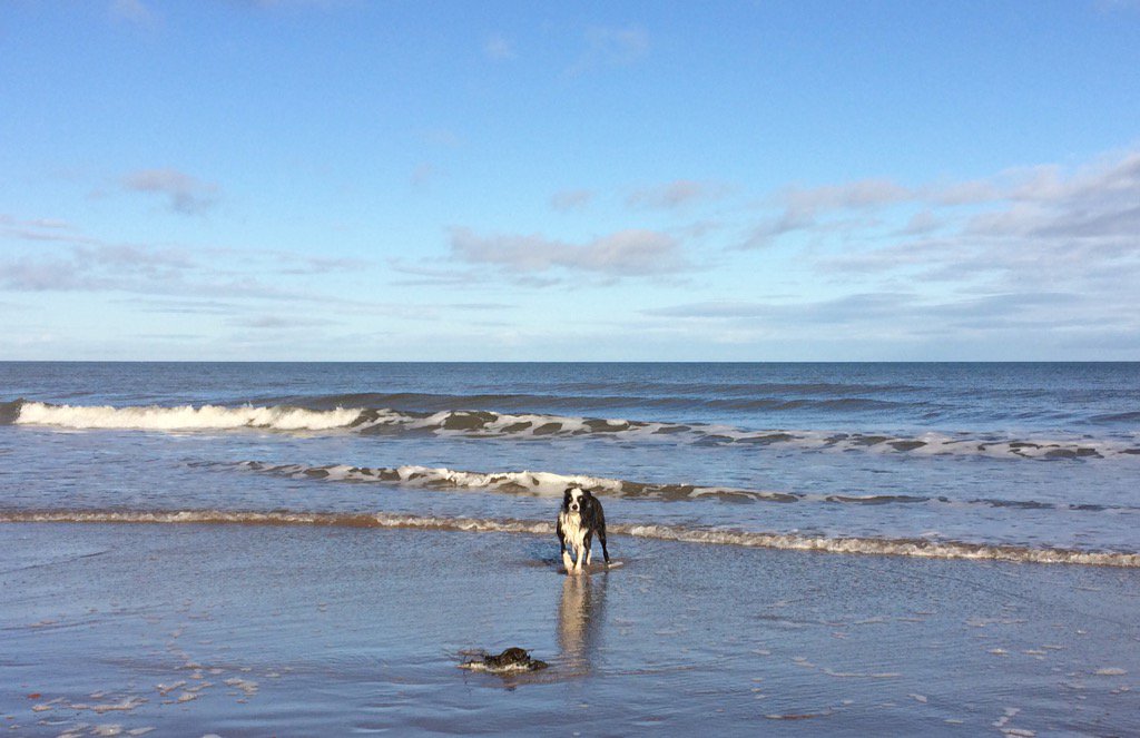 #walkwithwalnut <a href="/northumberland/">barry</a>