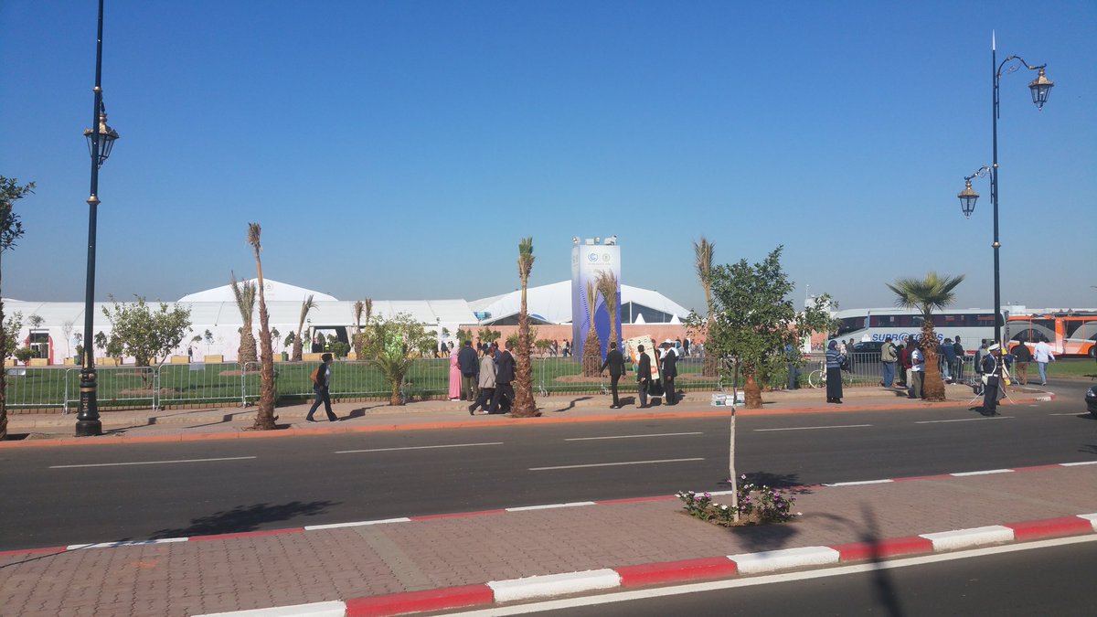 Cop22 avec le CJD Maroc.