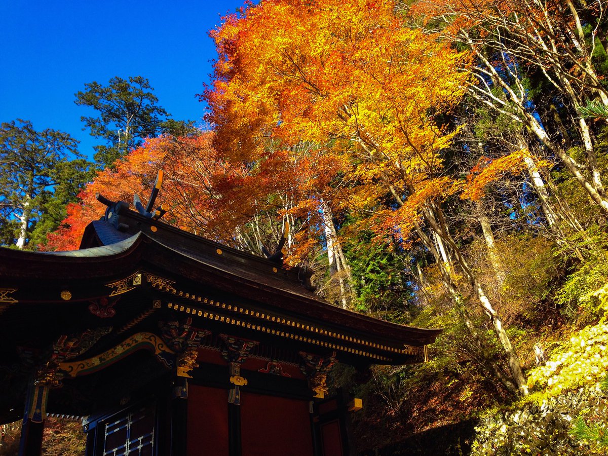 Miyazono Yuichi 奥秩父の三峯神社へ 紅葉真っ盛りです 三峯神社 三峰神社 奥秩父 紅葉