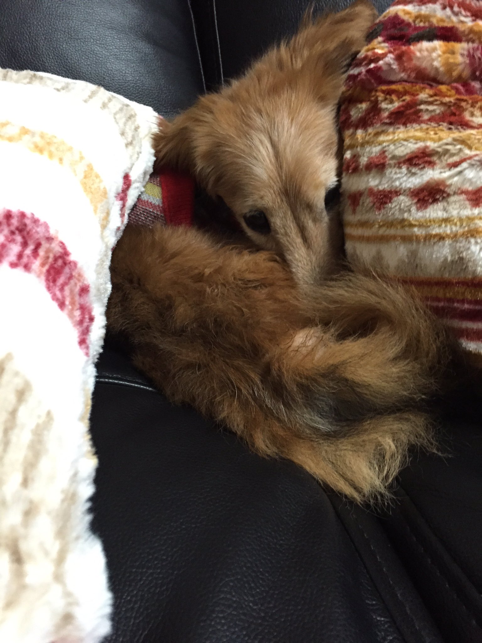 暗い所 Twitter Search Twitter