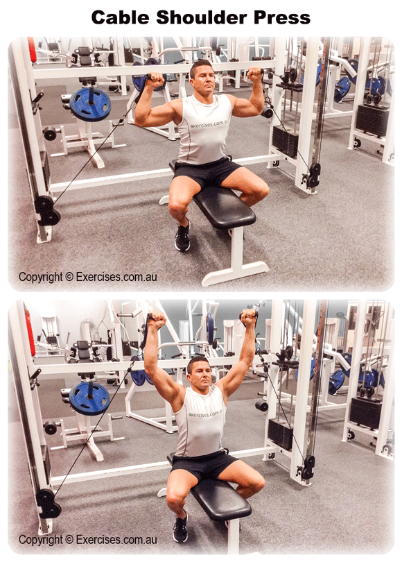 ExercisesAU's tweet photo. Shoulders Day! 'Cable Shoulder Press' is a great #exercise to work the shoulders for #strength -View the demo video https://t.co/crBwYkwAKl https://t.co/ZhVWlFbBza