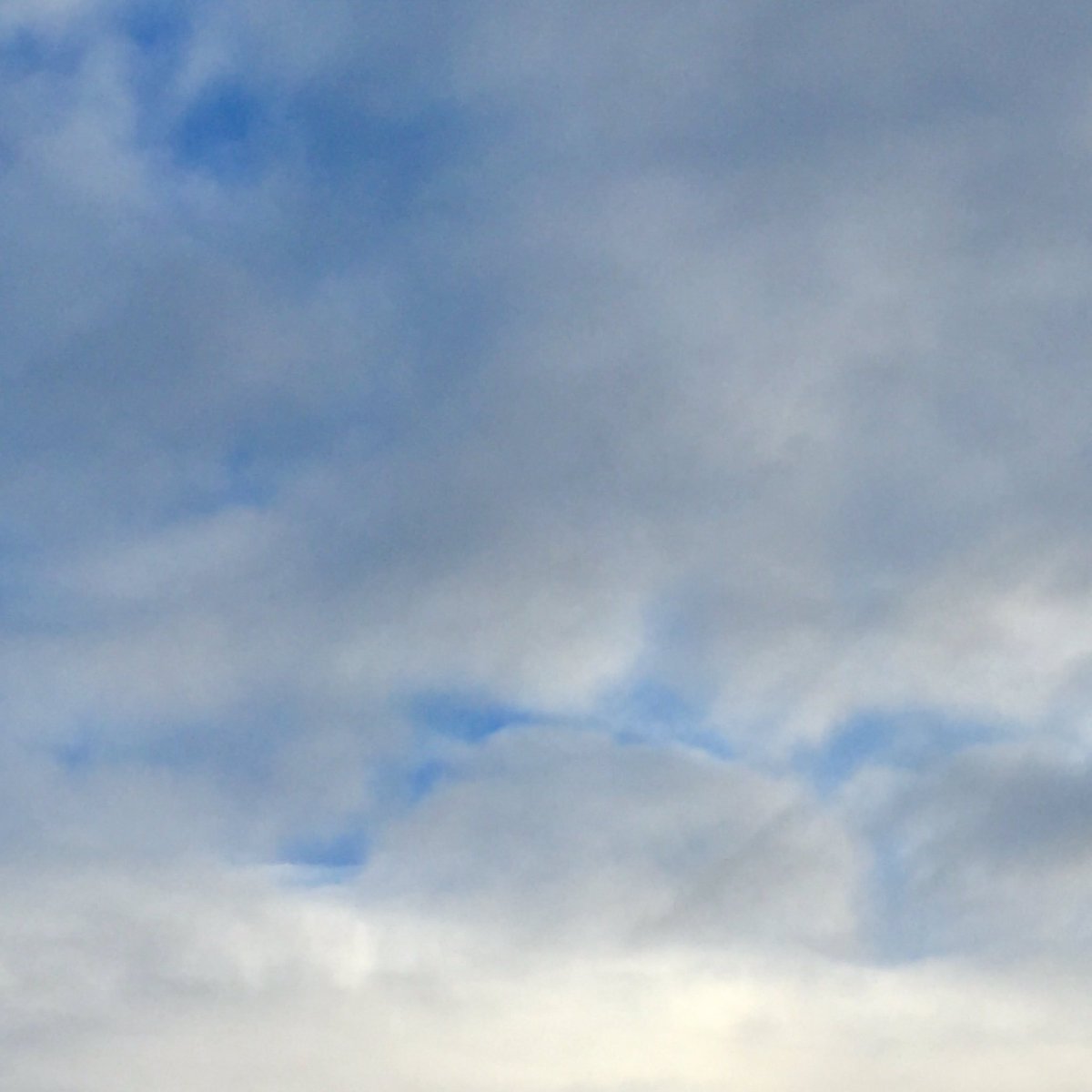 itsonlyaloft's tweet photo. Good luck to @NHSGsport girls in today's Regional  #CrossCountry. There is a bit of blue up there so it might not be too cold, wet &amp; muddy! https://t.co/vVYVZTZPtj