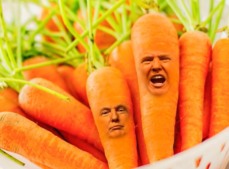 Carrot Facts on Twitter: