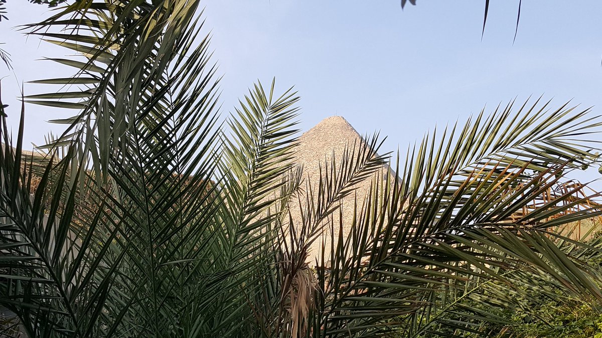 HonestOmnivore's tweet photo. Another BEAUTIFUL, peaceful, perfect morning in Egypt! https://t.co/0Pgf0cR0Ep