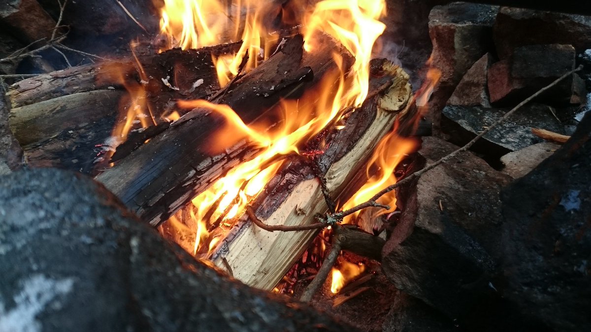 Tussukotka's tweet photo. Retki lintutornille. @sonyxperia #Campfire #XperiaZ3 #BirdTower https://t.co/d60mdZozEW