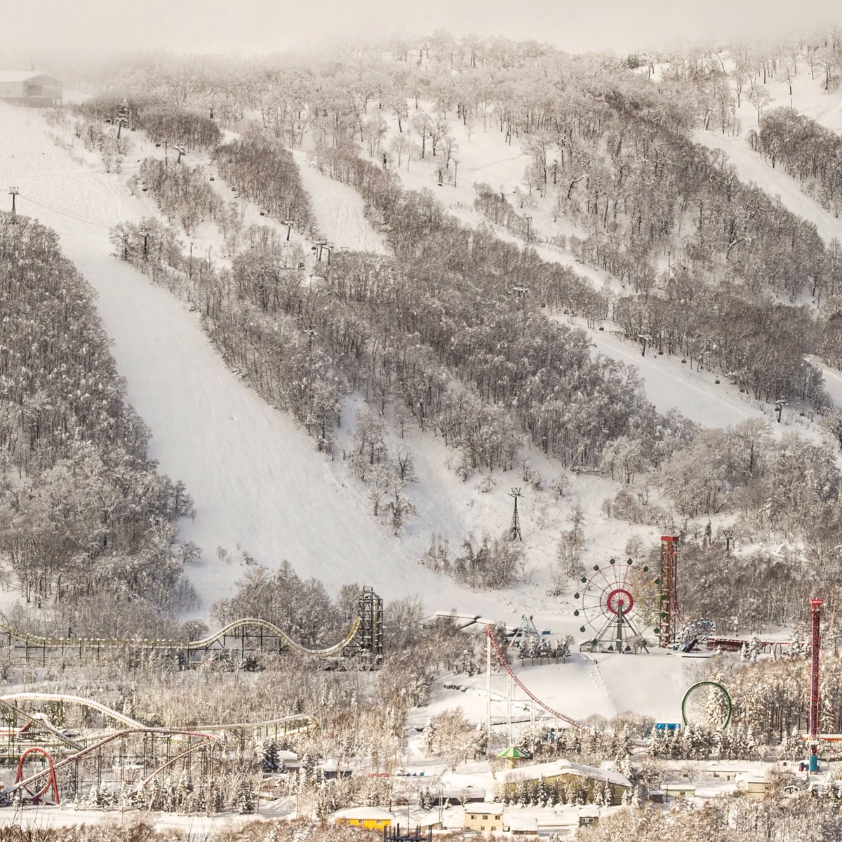 NisekoPhoto's tweet photo. Rusutsu is literally a winter wonderland with some of the best snow in Hokkaido and a theme park right in the middle https://t.co/rObs7Wyx8m