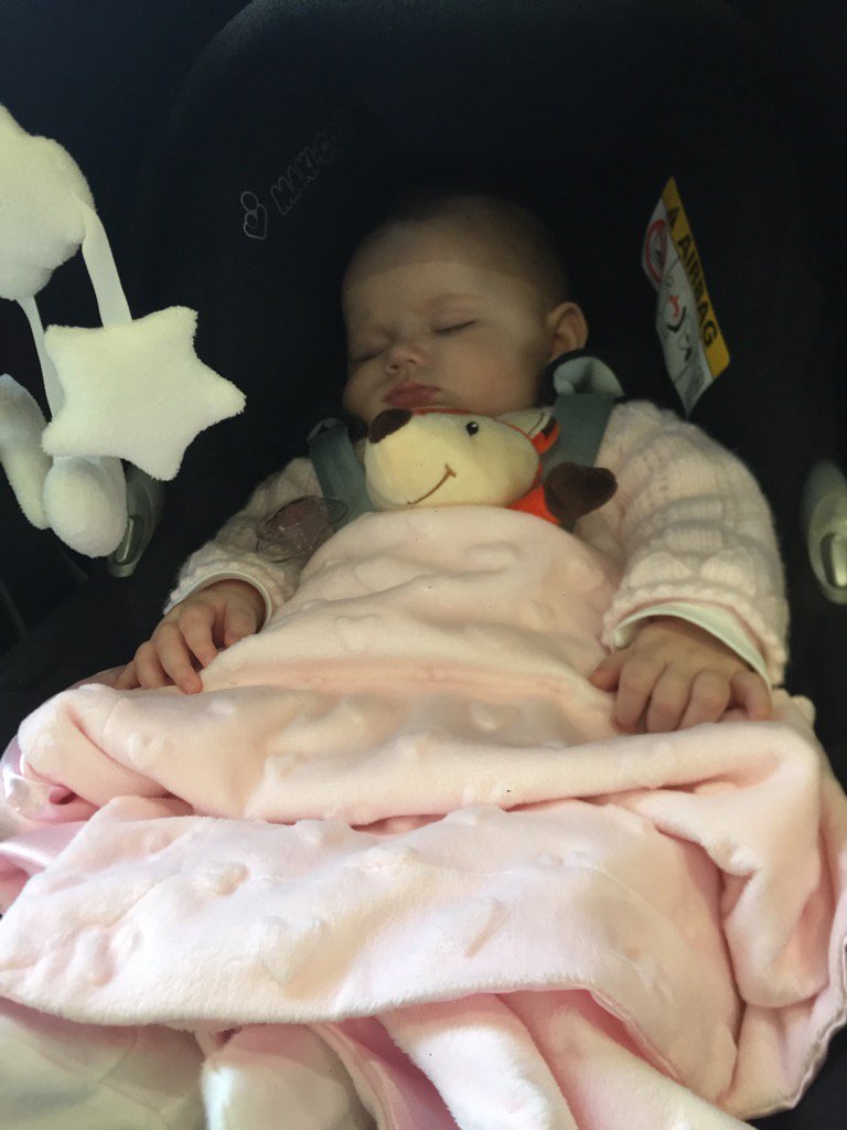 ChrisOxTyson's tweet photo. Having so much fun on our secret adventure Evie and Mr Fox are fast asleep! @amy_normz https://t.co/yu68F3Pdds