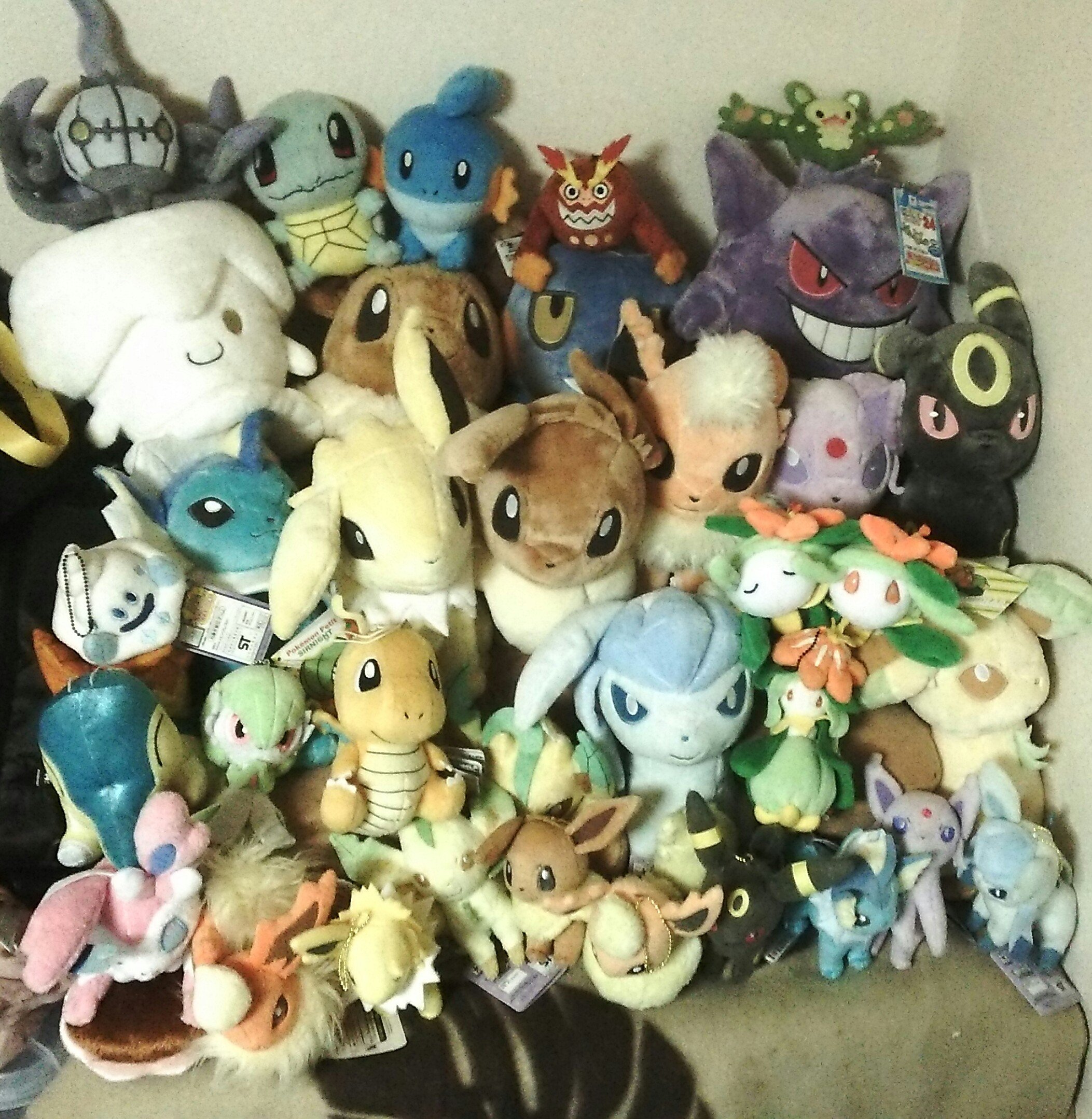 きりや 4y2m さて 私もタグやりますかの ポケモンはhgssから厳選 対戦はbwからやっている社会人です 伝説色粘り 色孵化厳選 レート グッズ集めなどしております 嫁ポケはドレディアで可愛いポケモンが好きです 最高レート1904 サンムン発売に