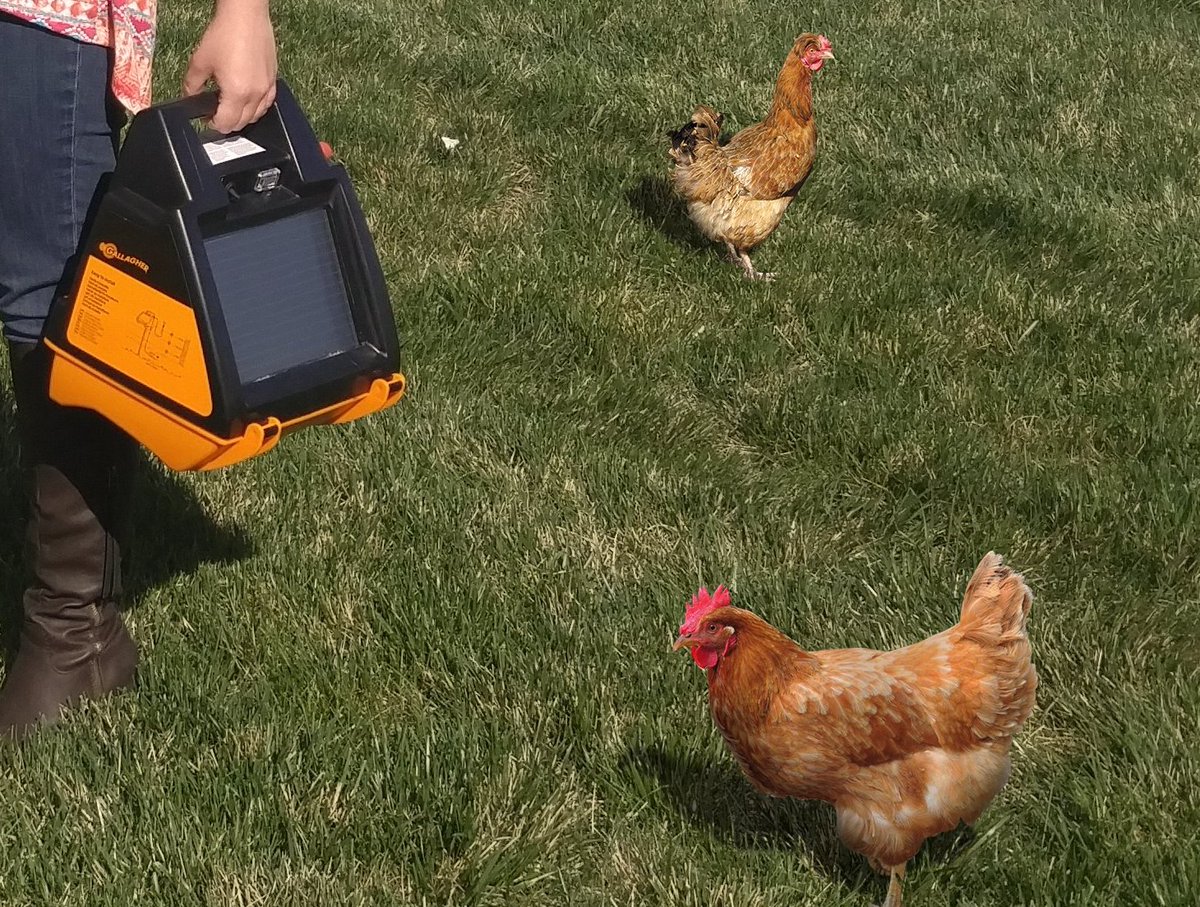 GallagherNA's tweet photo. All of #Gallagher's #energizers are low impedance &amp; work with #netting https://t.co/CeKQNdzsPu #poultrynet https://t.co/QqldGJC0Vc