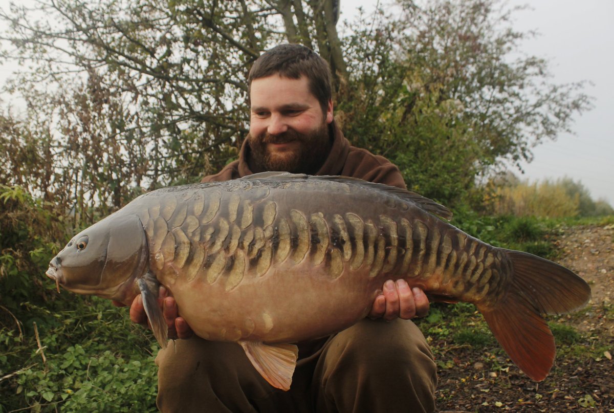 Tales from Wales tweet media