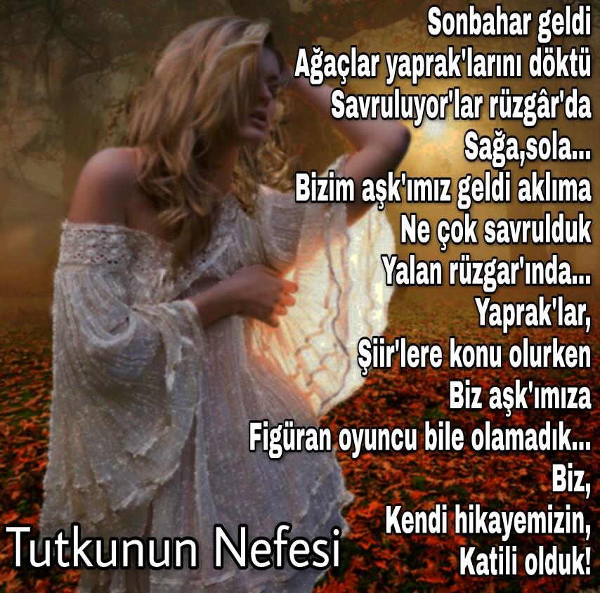 Sen'siz adımladığım sokak'larda
Savrulan bir yaprak görsem...
Anı'lar,
Tekrar yeşeriyor kalbim'de...