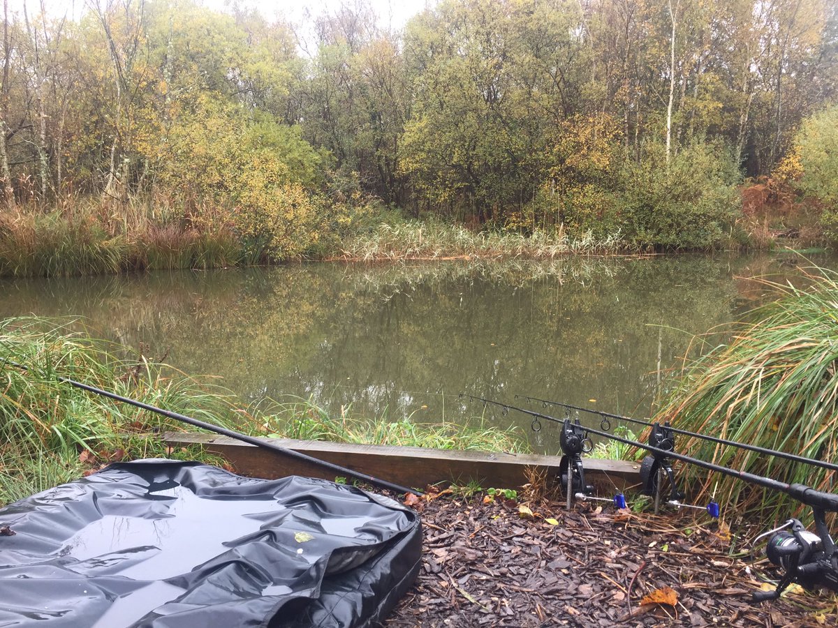freshangling's tweet image. You know your a true carper when you wake up to a wet morning with a smile on your face.