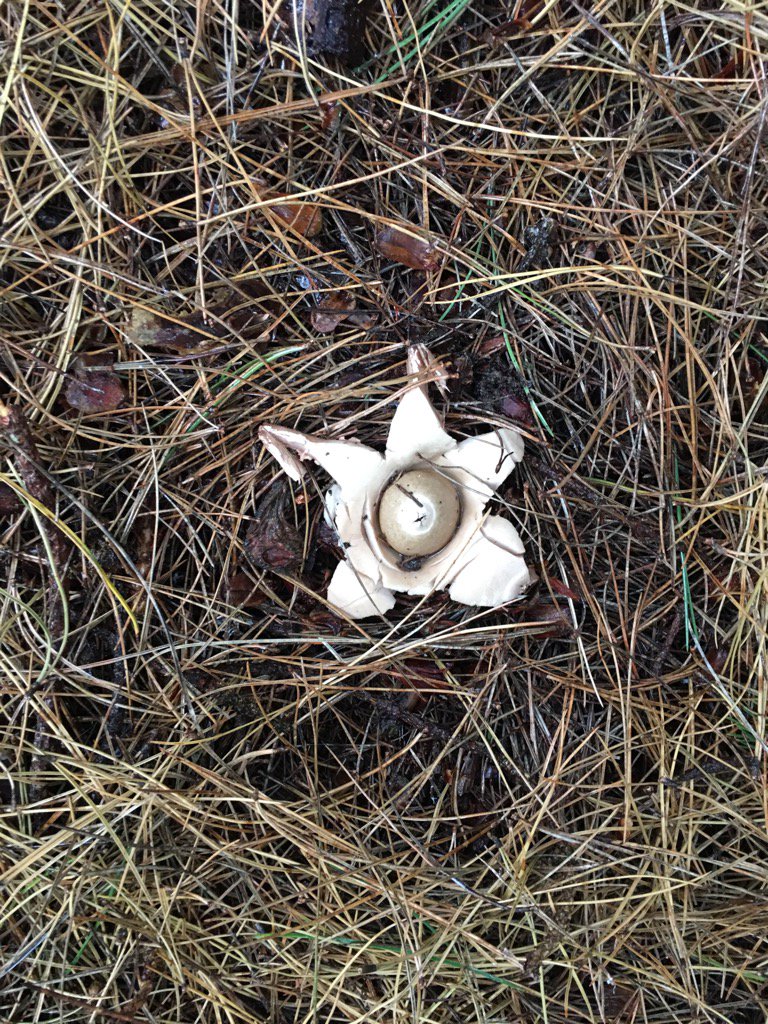 David Widdick tweet media