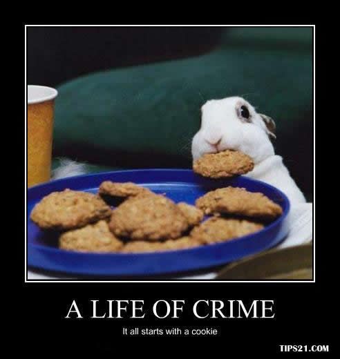 ScotKilt's tweet photo. Scottish word of the day: pockle - to describe a thief or the act of thieving. "Oi, who's pockled my stapler?"
#wordofheday #pockle https://t.co/jpyuRuekyg