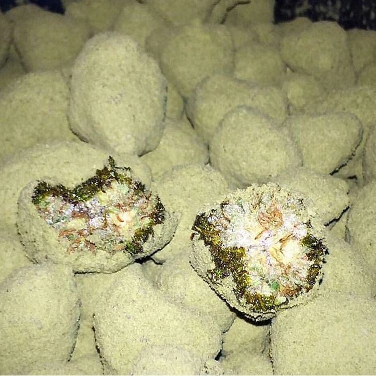 goodapedao's tweet photo. What a time to be alive 😍 https://t.co/QjwnYbEywU
