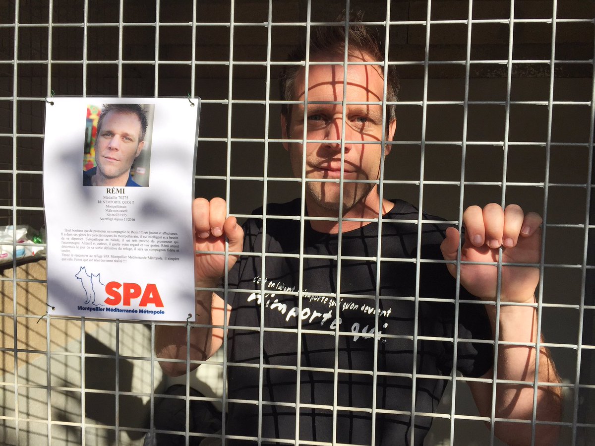 Nouvel objectif : 100,000 € pour les animaux enfermés à la SPA de Montpellier <a href="/nqtv/">Rémi Gaillard</a> #remiencage