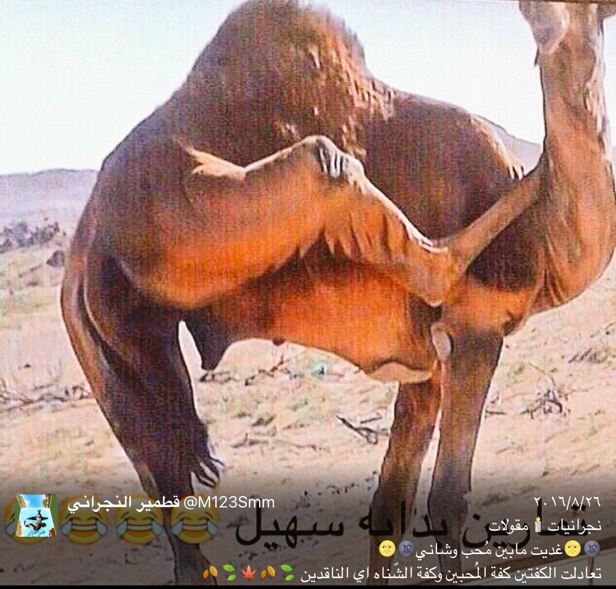 Najanksa's tweet photo. @M123Smm قطمير النجراني
لافضل العروض التراثية ،،،،،، https://t.co/0qY6S6Aw9A