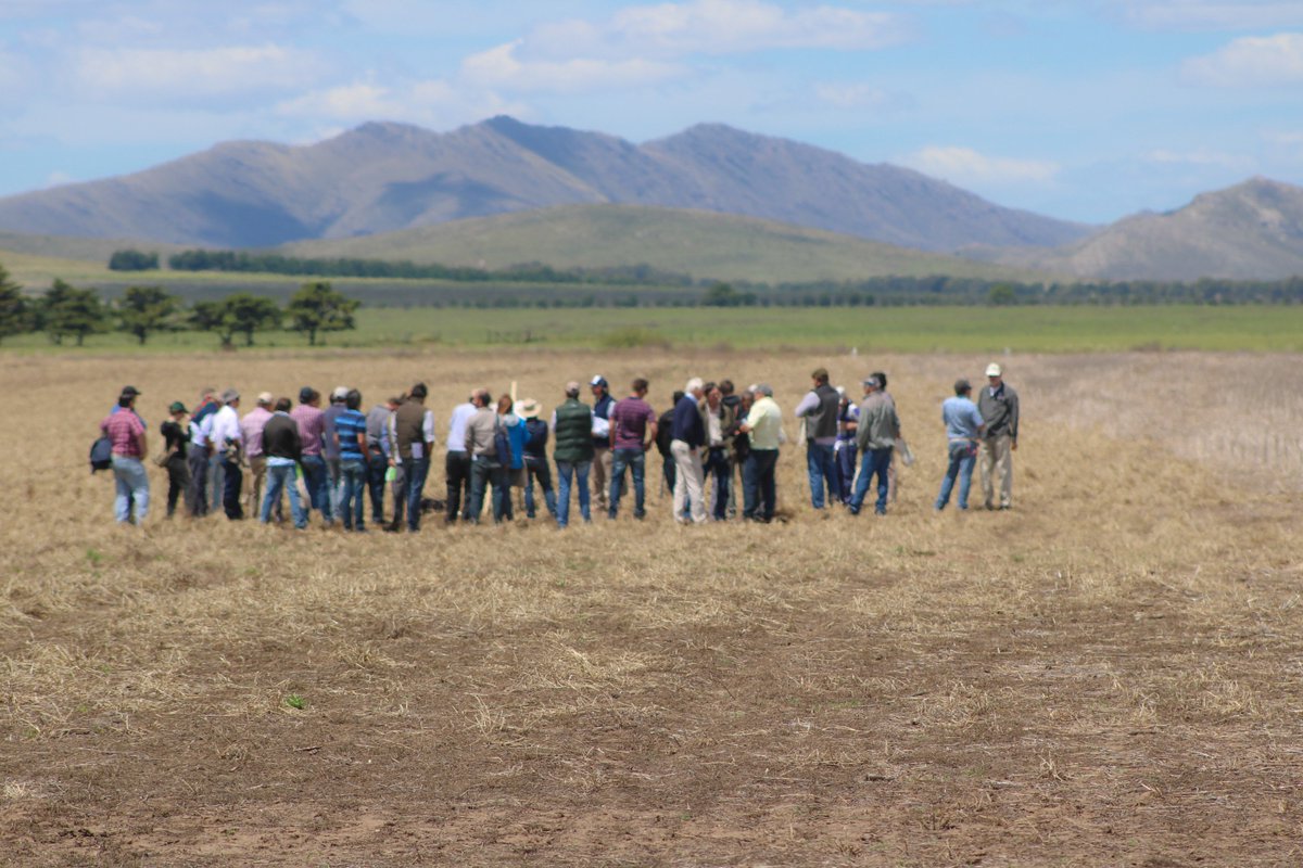 galmassio's tweet photo. Excelente jornada ayer en la UPA de la @AapresidBB en Hogar Funke en su 20º aniversario . El Sudoeste pionero en SD en Arg,  @aapresid https://t.co/ZOaIl1A41W