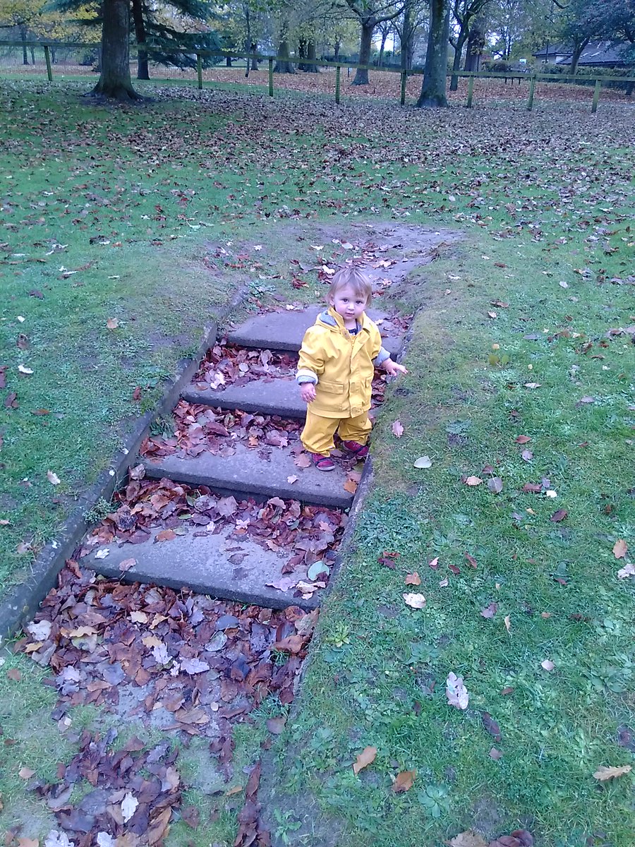 rich_w's tweet image. Where he's going, no one is knowing. #adventure #thirdchild