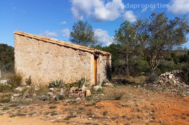 SoloradaProp tweet picture