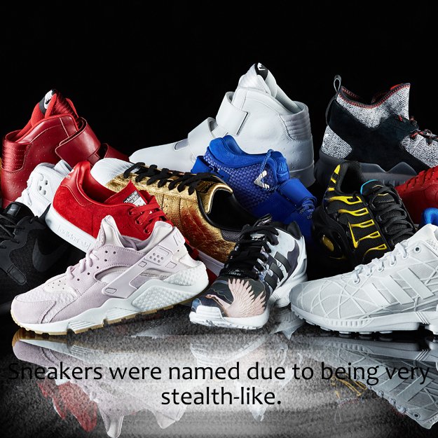 DailyRandomF's tweet image. 