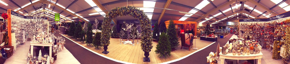 Shackletons Home & Garden tweet media