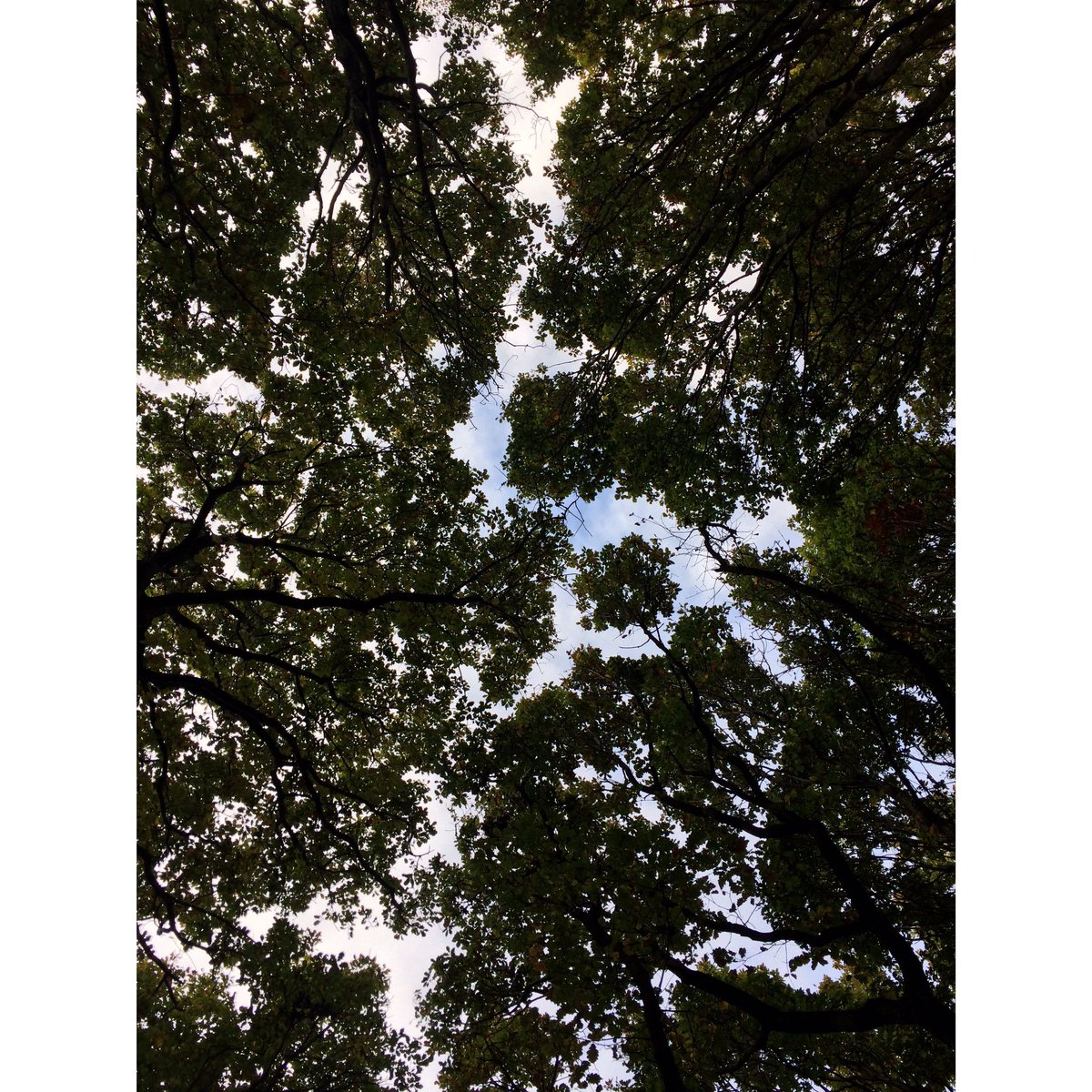 mtfeedback's tweet photo. Kirkstall is looking particularly beautiful today. Check out https://t.co/LHXII76MlX for more! https://t.co/24jerWAMLP